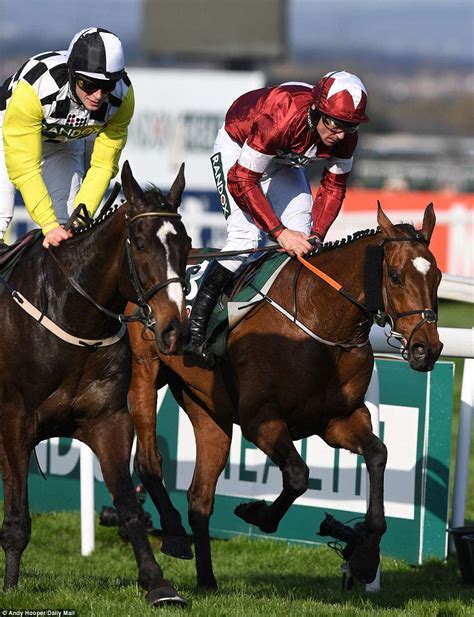 2018 grand national winner|Grand National 2018: Tiger Roll wins in photo finish .
